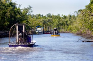 Botes en los Everglades