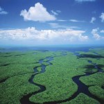 Everglades de Florida